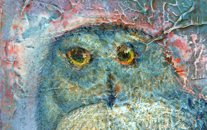 snowy owl detail