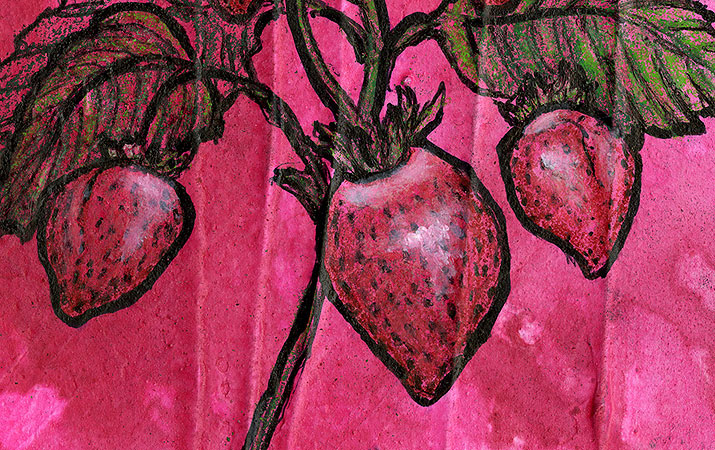 strawberries detail