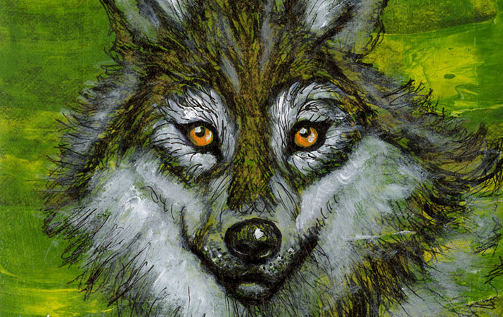 wolf detail